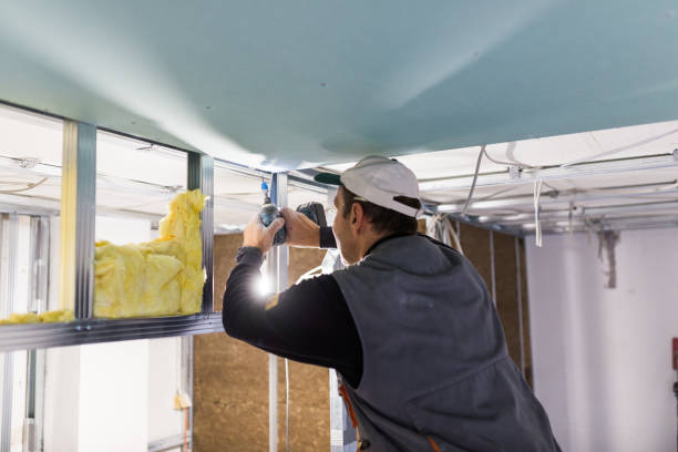 Best Cellulose Insulation in Rodney Village, DE