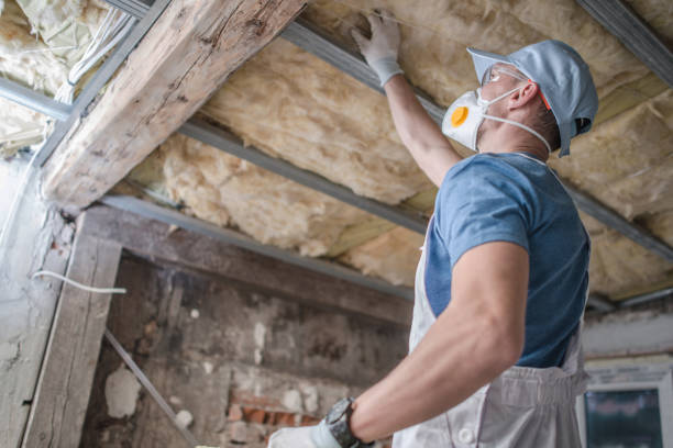 Best DIY Insulation Kits and Guidance in Rodney Village, DE