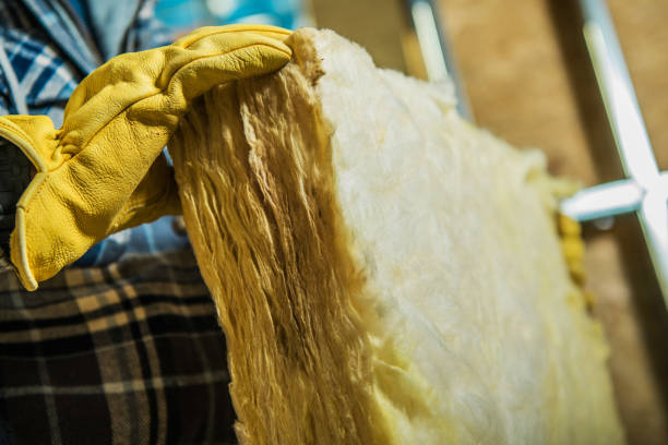 Best Specialized Insulation Services in Rodney Village, DE