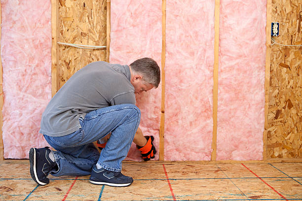 Best Insulation for Specific Applications in Rodney Village, DE