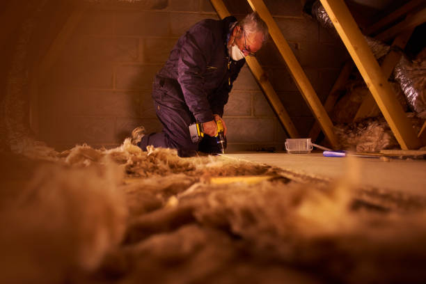 Best Insulation Maintenance and Repair in Rodney Village, DE